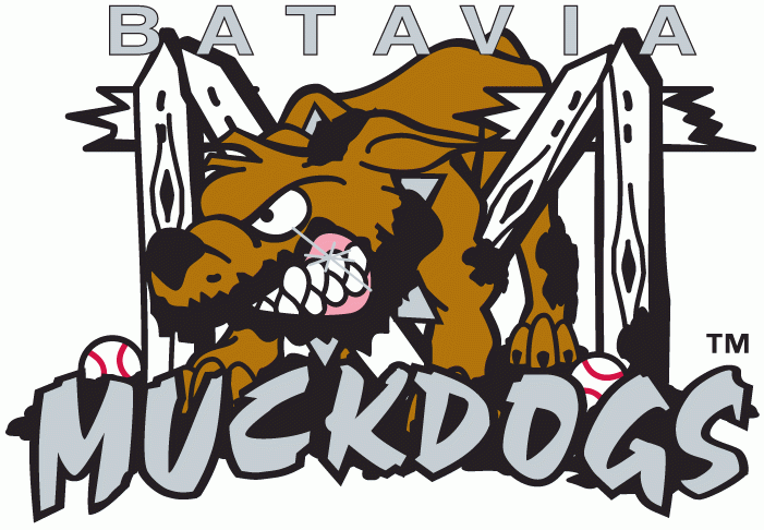 Batavia Muckdogs iron ons